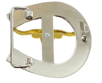 Metallic horseshoe on a white background